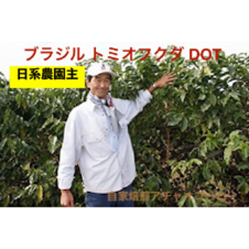 日系農園主 ブラジル トミオ・フクダ DOT | 自家焙煎 アチャオ