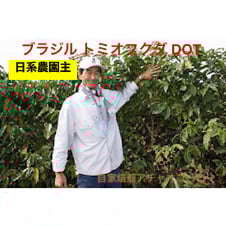 コーヒー生豆　ブラジル　トミオフクダ　5kg ブラジル トミオフクダ バレ・ド・クリスタル農園 DOT：中煎り
