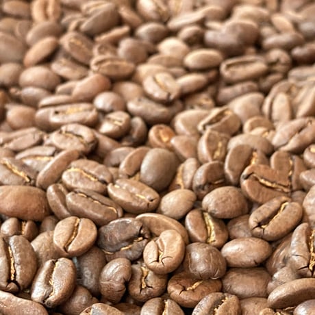 1000の王　インドネシア マンデリン ポルン セリブ ラジャ スマトラ式 G1