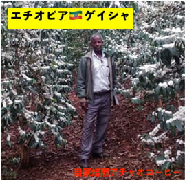 安らぐ香り エチオピア カッファ ジナブ ゲイシャ ナチュラル | 自家焙