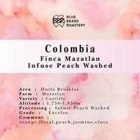Colombia Finca Mazatlan / Infused Peach Washed