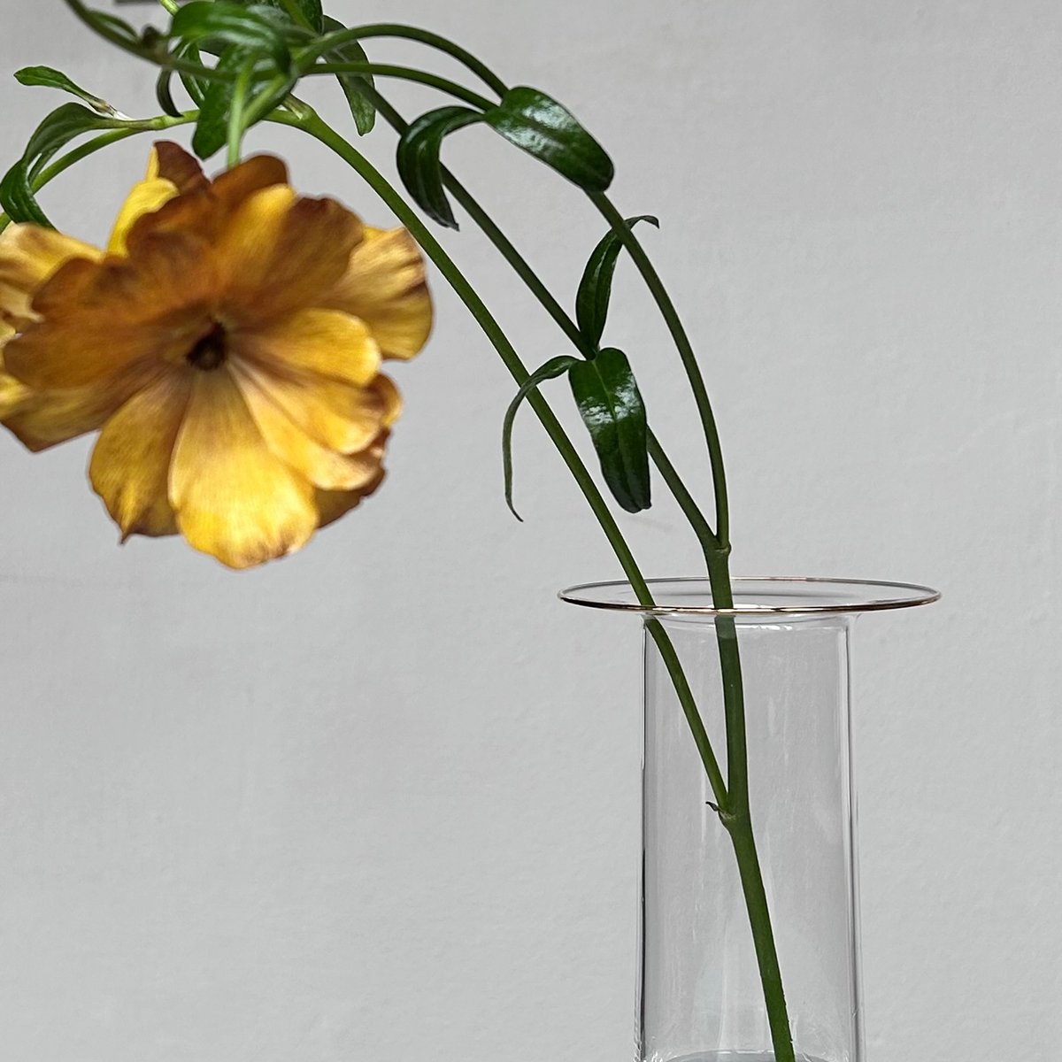 奥 泰我 / hoop vase kaku M | toau