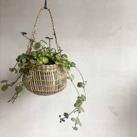 Suno&Morrison / Hanger Basket  / S