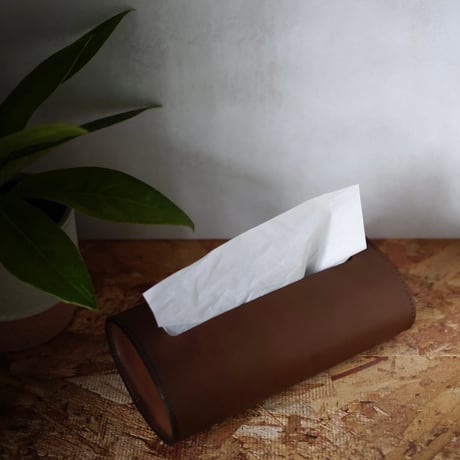 LO   /  Tissue   Case