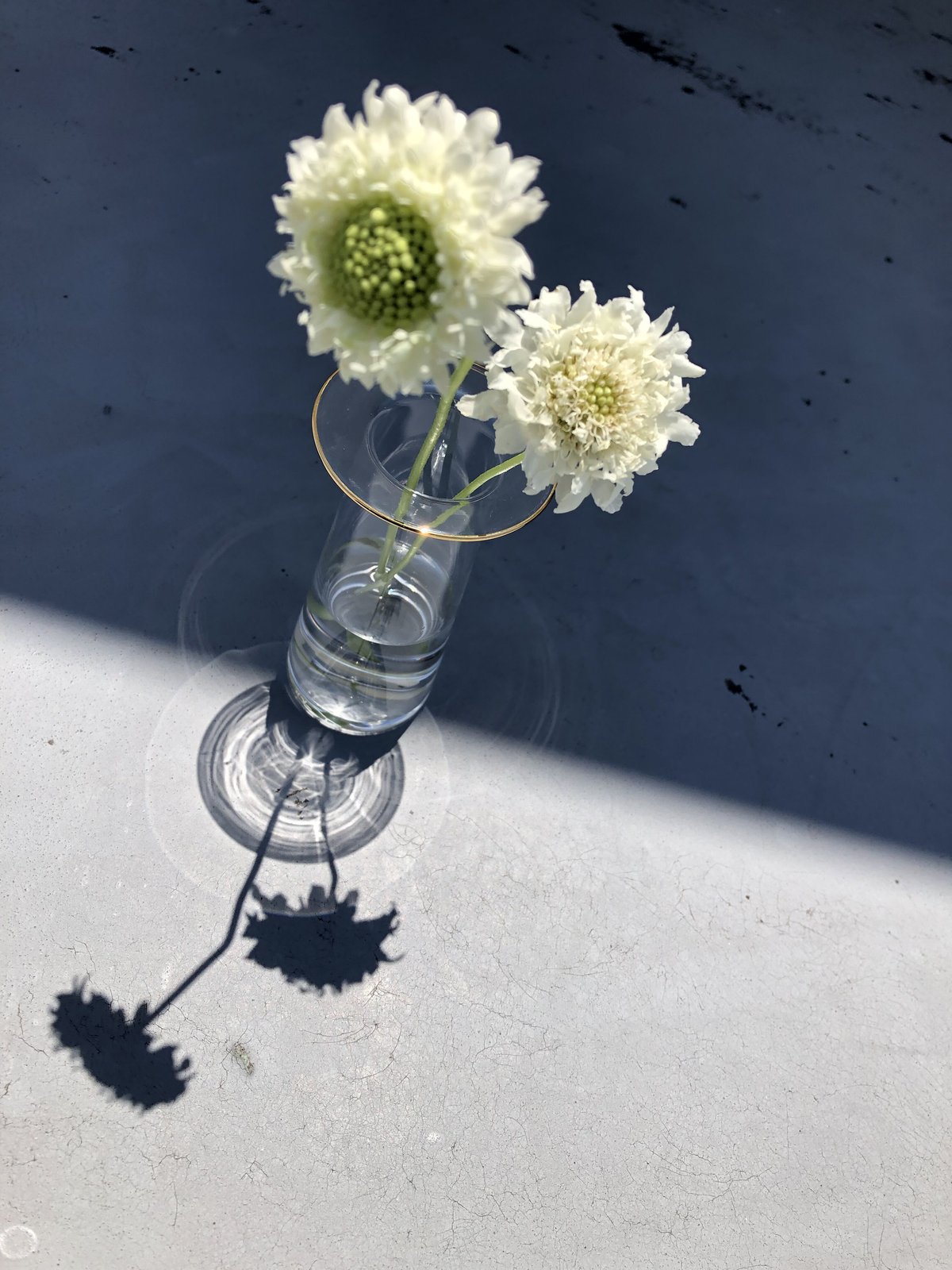 奥大我ガラス作家クリア高級花瓶 金色　縁ハグオーワー　クロス＆クロス 奥泰我 別注グラス – SHOP BLOG