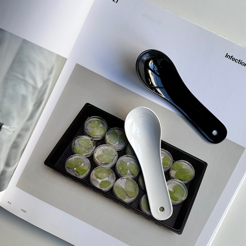 SARO / CHINESE SPOON (レンゲ) 琺瑯 SMALL | t