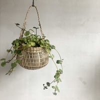 Suno&Morrison /  Hanger Basket /   SS