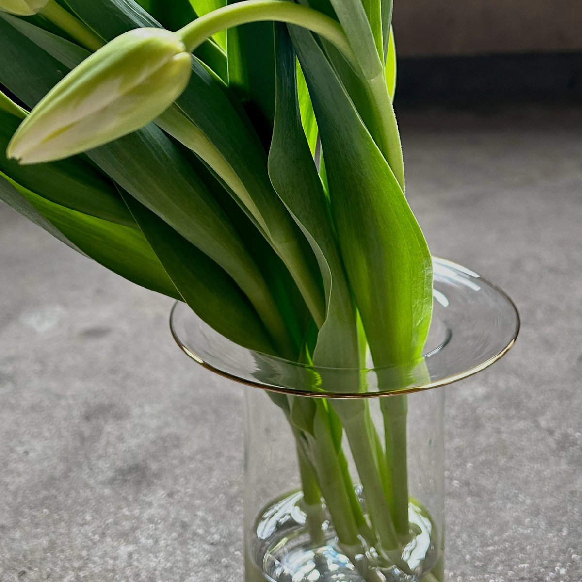 奥 泰我 / hoop vase kaku L | toau