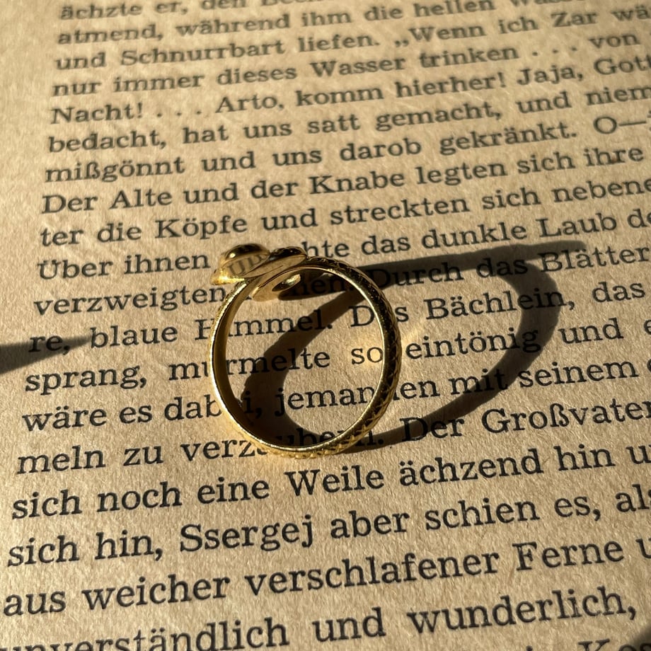 67552558d356f74492c43608
