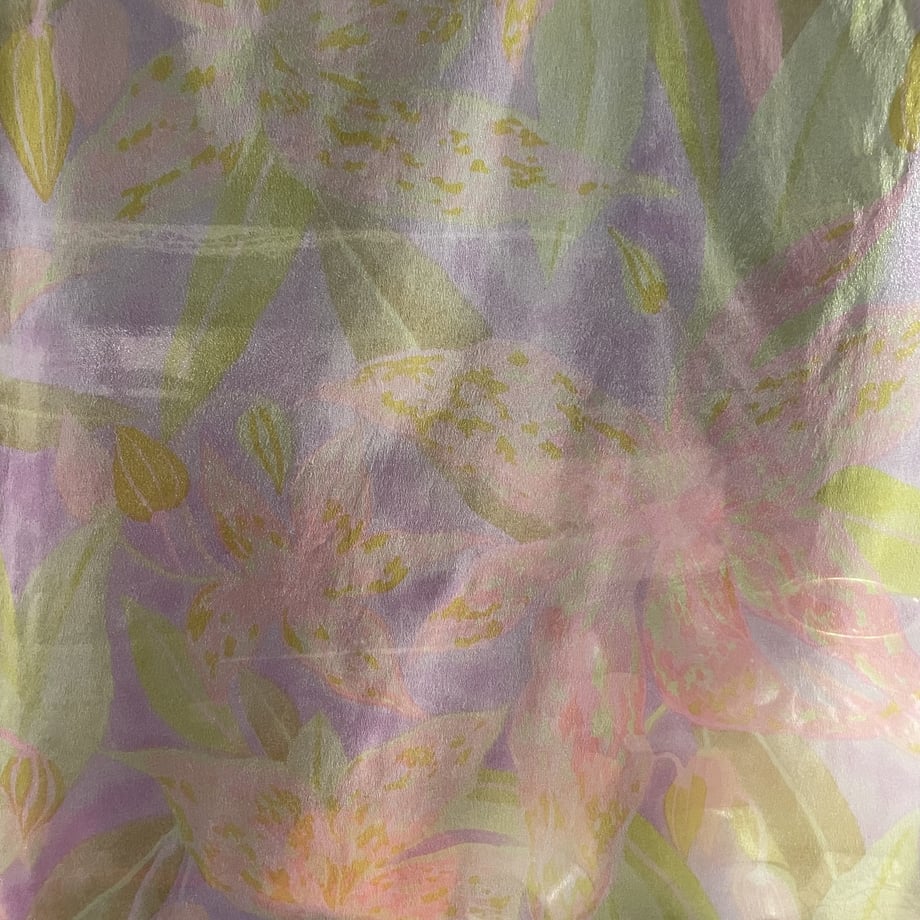 643231a2e2a98800397ae077