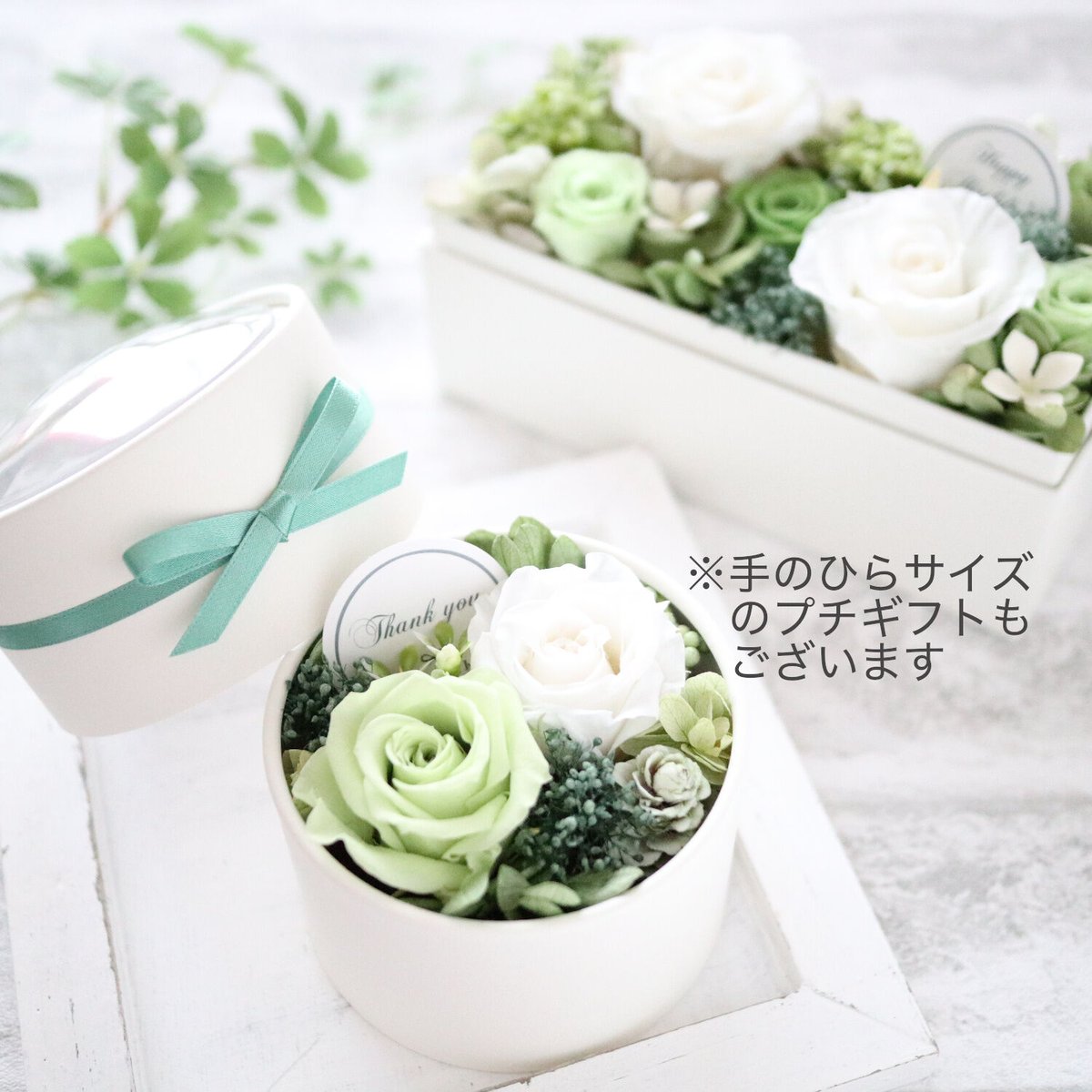 Preserved Flower】ホワイトローズのフレッシュ感あるグリーン系