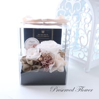 【Preserved Flower】シャンパンホワイトのバラとカーネーションのクリアケース入プチギフト｜誕生日・結婚祝い・退職祝い　pre.113