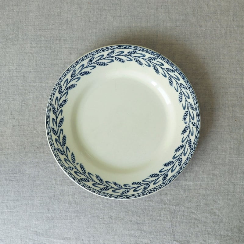 Salins ｜ プレート皿 | pebble