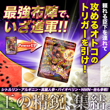 【選べる定期便】王王王王(おうのなかのおう)マカマカーン もっと王盛り！