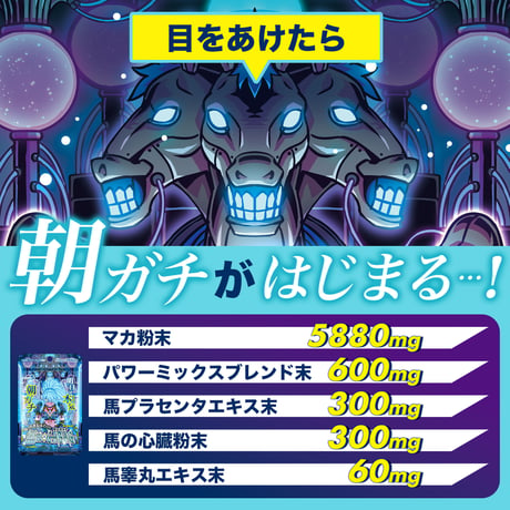 ねっちぎるほどzzz 無敵のギャバッグ (60粒：約30日)