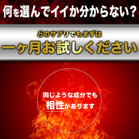 【選べる定期便】 Energy Tablet エナジータブレット (60粒：約30日)