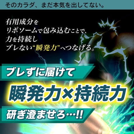 【選べる定期便】雷鳴の支配者 アル・ギ・ニーン