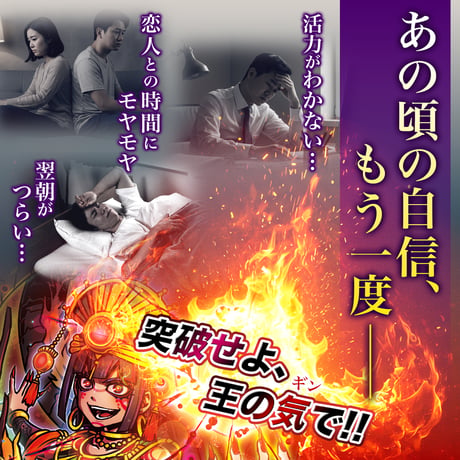 【選べる定期便】王王王王(おうのなかのおう)マカマカーン もっと王盛り！