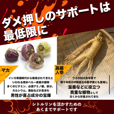 【選べる定期便】 憤怒の化身シト・ル・リーン（30粒：約30日）