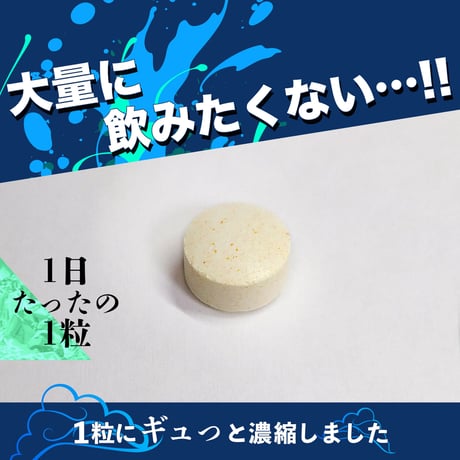 【選べる定期便】 獅子奮迅のドバ・ア・エーン（30粒：約30日）