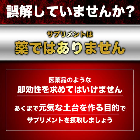 【選べる定期便】 Energy Tablet エナジータブレット (60粒：約30日)