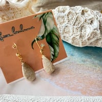 Fossil Coral