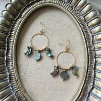 Phases of the moon