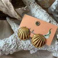 stainless shell
