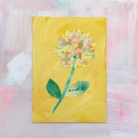 yellow flower