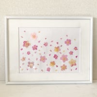 sakura