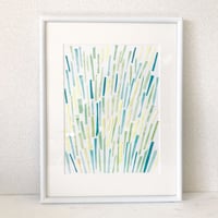plants
