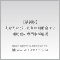 最新版「あなたにぴったりの補助金は？」