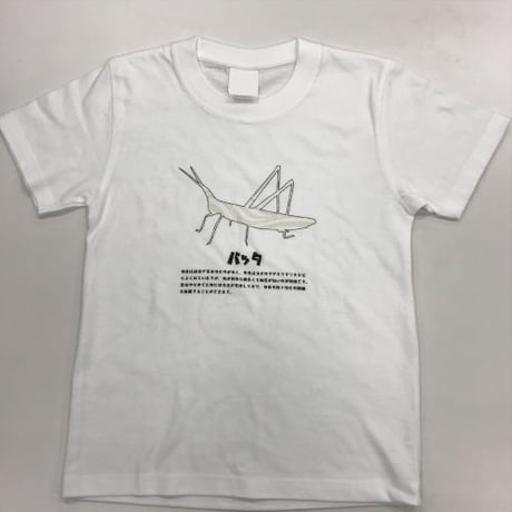 【KIDS】昆虫フラッシュＴシャツ ばった