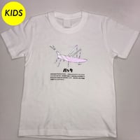 【KIDS】昆虫フラッシュＴシャツ ばった