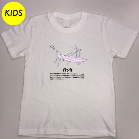 【KIDS】昆虫フラッシュＴシャツ ばった