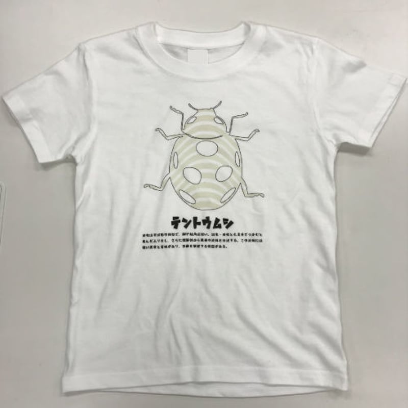 KIDS】昆虫フラッシュTシャツ てんとうむし | LIGHT FORCE STORE /