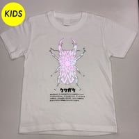 【KIDS】昆虫フラッシュＴシャツ くわがた