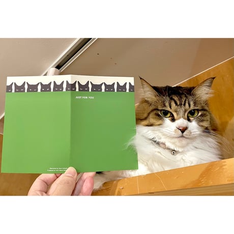 CATEGORY 当店オリジナルのもの | Cat's Meow Books Virtual
