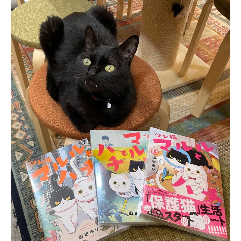 ツレ猫 マルルとハチ（1～6巻） | Cat's Meow Books Virtual Shop β