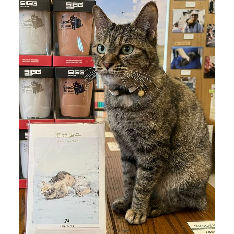 酒井駒子 ポストカードブック 24POSTCARDS | Cat's Meow Books V