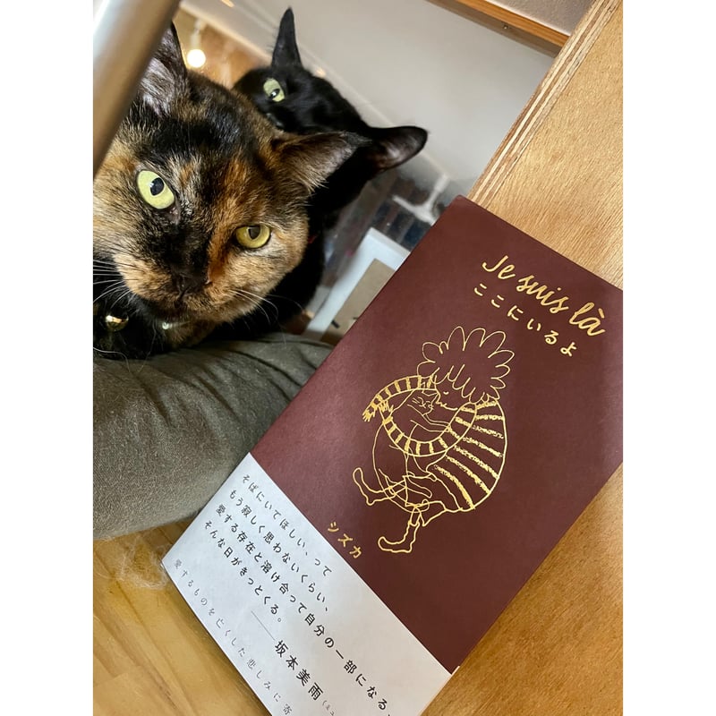 はるねこページ ポストカード＋メッセージペーパー付き】Je suis là ここにいる