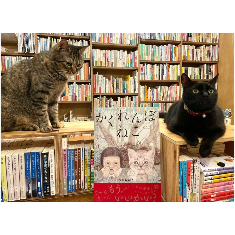 かくれんぼねこ | Cat's Meow Books Virtual Shop β