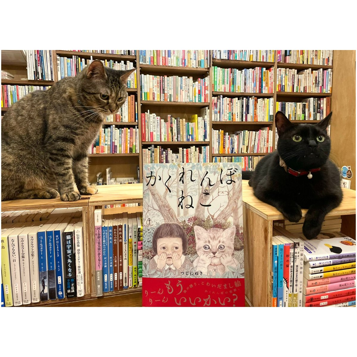 かくれんぼ？くんレギュラーサイズ用 青猫さまのページ かくれんぼ？くんレギュラーサイズ用 青猫さまのページ