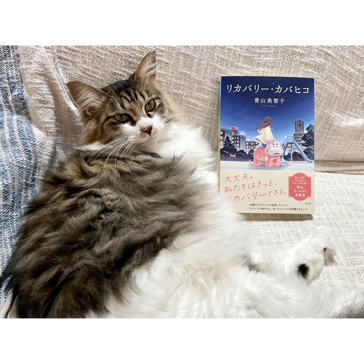 リカバリー・カバヒコ | Cat's Meow Books Virtual Shop β