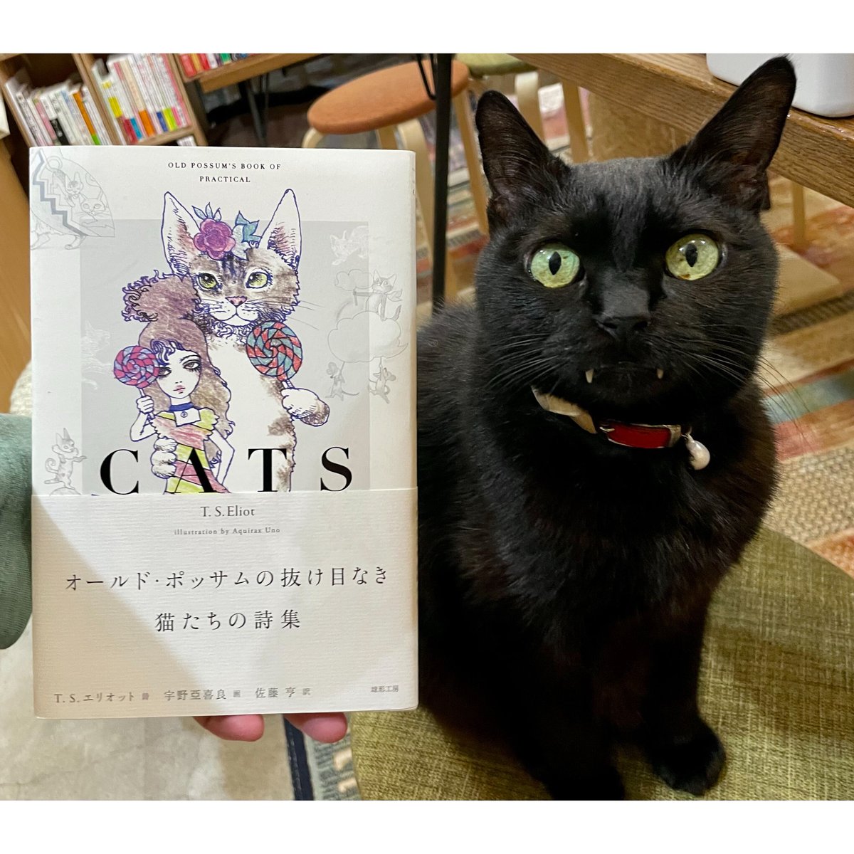 Ostheimer 魔女と猫 Ostheimer 魔女と猫