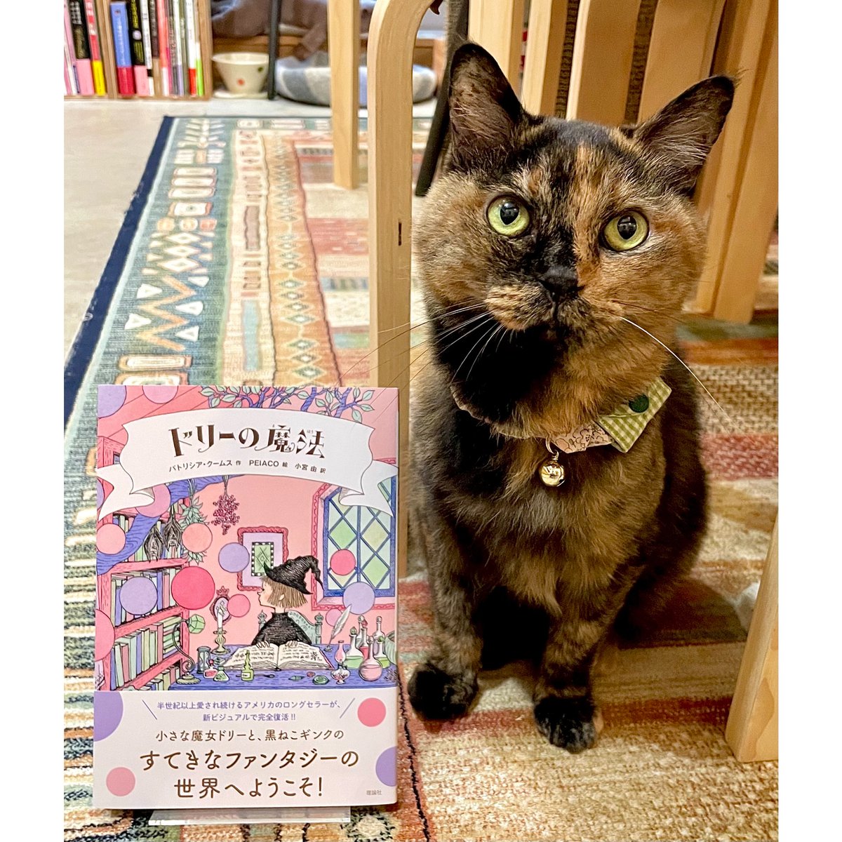 ドリーの魔法 | Cat's Meow Books Virtual Shop β
