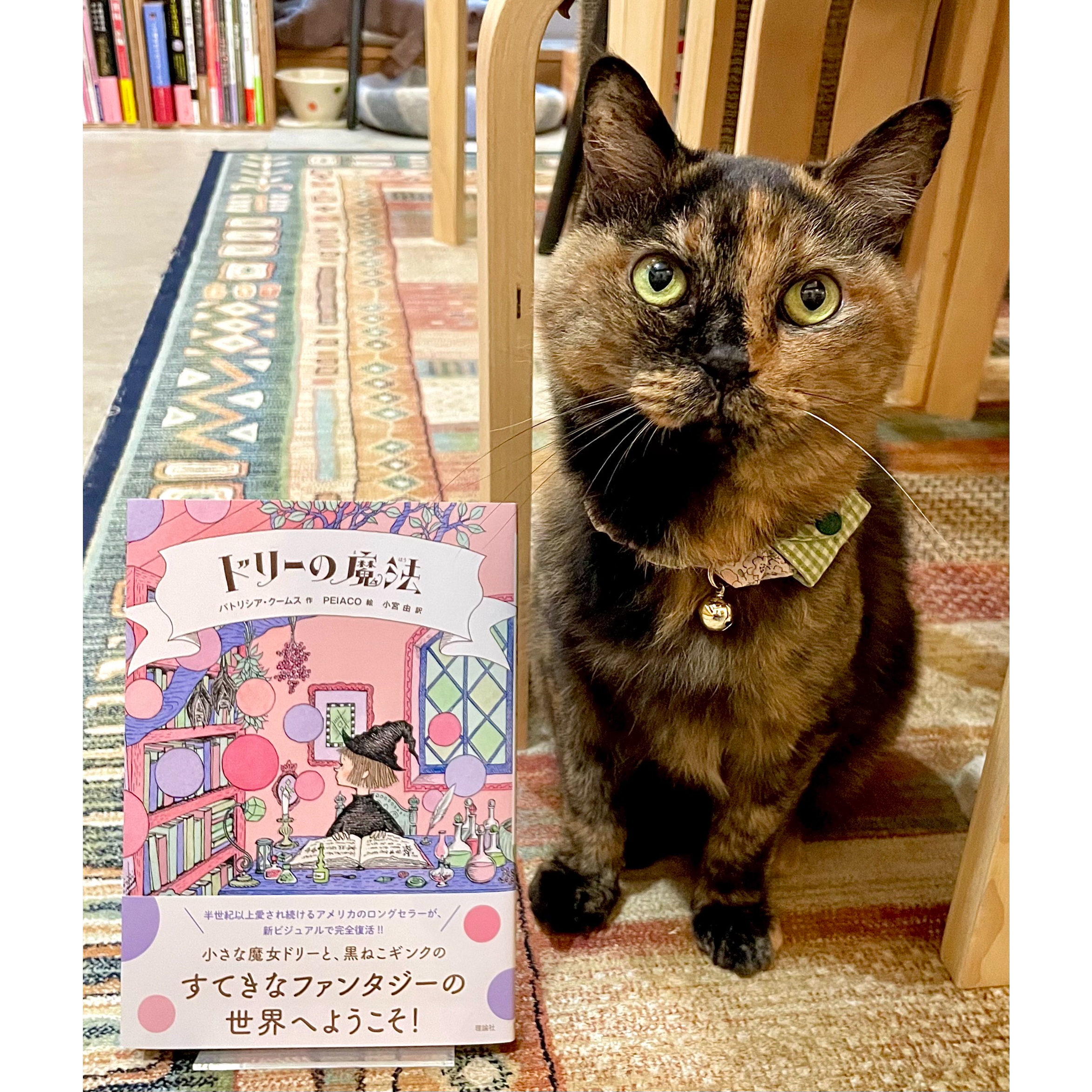 ドリーの魔法 | Cat's Meow Books Virtual Shop β