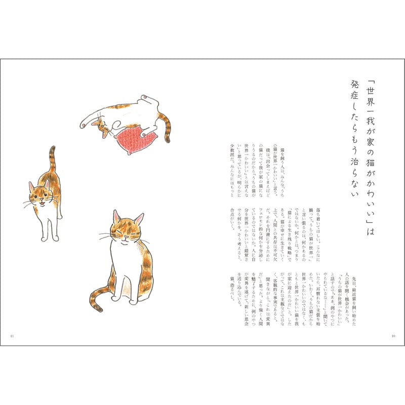 直筆サイン入り／特装版・通常版】猫のいる家にまだいたい | Cat's