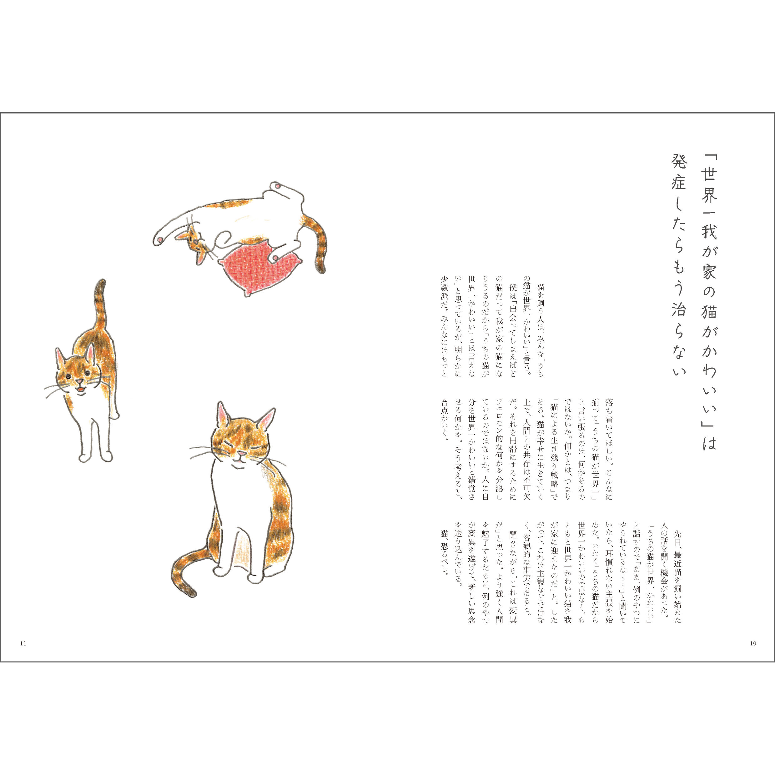 直筆サイン入り／特装版・通常版】猫のいる家にまだいたい | Cat's