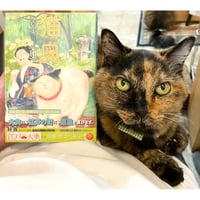 ますむらひろし 賢治に一番近いシリーズ 全6巻 セット Amazon.co.jp: 銀河鉄道の夜 (ますむら・ひろし賢治シリーズ